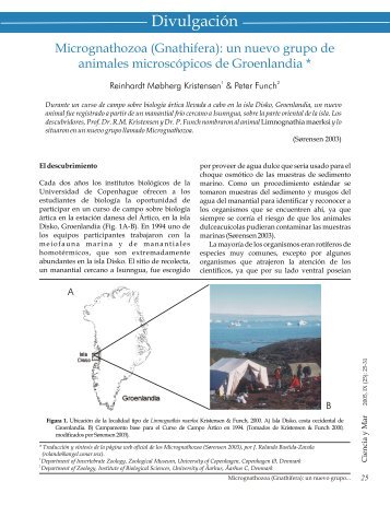 Micrognathozoa (Gnathifera) - Universidad del Mar