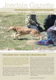 pdf 900KB - Ethiopian Wolf Conservation Programme