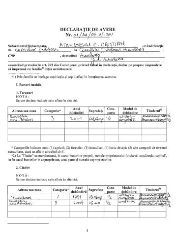 declaratii de avere - arhiva 2011 - Consiliul Judetean Hunedoara