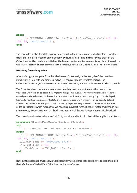 TMS iCL DEVELOPERS GUIDE - TMS Software