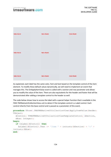 TMS iCL DEVELOPERS GUIDE - TMS Software