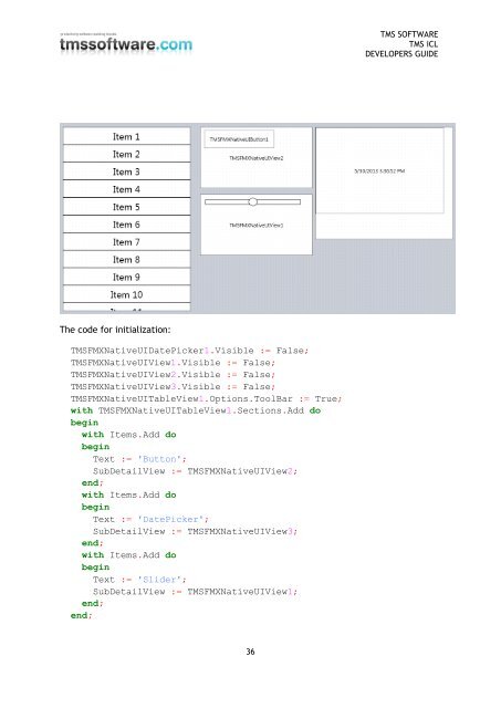 TMS iCL DEVELOPERS GUIDE - TMS Software