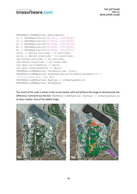 TMS iCL DEVELOPERS GUIDE - TMS Software