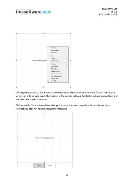 TMS iCL DEVELOPERS GUIDE - TMS Software