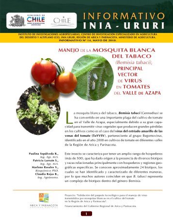 (Bemisia tabaci) principal vector de virus en tomates de - Platina - INIA