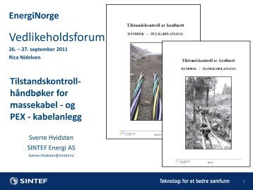 Teknologi for et bedre samfunn - Energi Norge