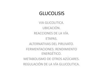 22. GLUCOLISIS