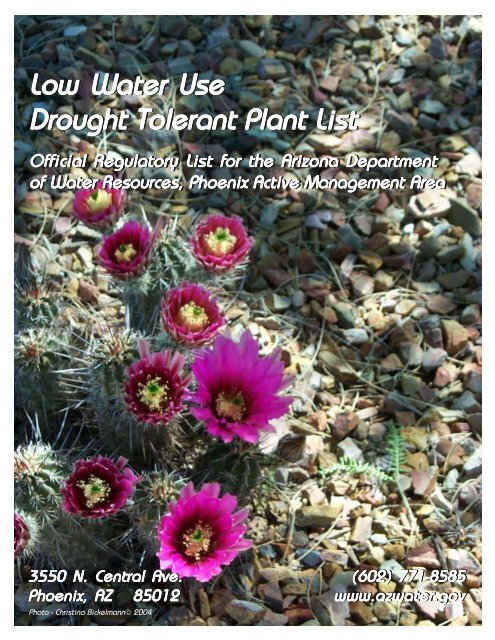 Low Water Use Drought Tolerant Plant List - Arizona Department of ...