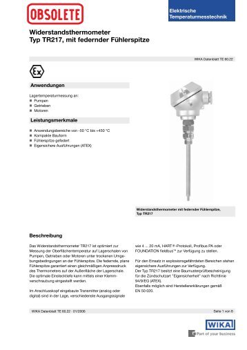 Widerstandsthermometer Typ TR217, mit federnder FÃ¼hlerspitze