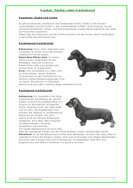 Dackel, Teckel oder Dachshund - Gruppe Trier-Saarburg