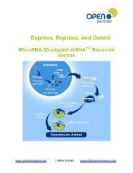 Express, Repress, and Detect - Bioxys