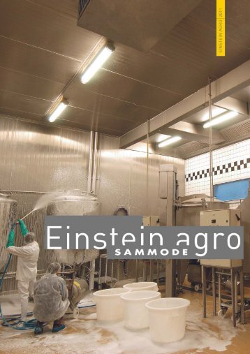 110309-RB - COUVE EINSTEIN AGRO.psd - Sammode