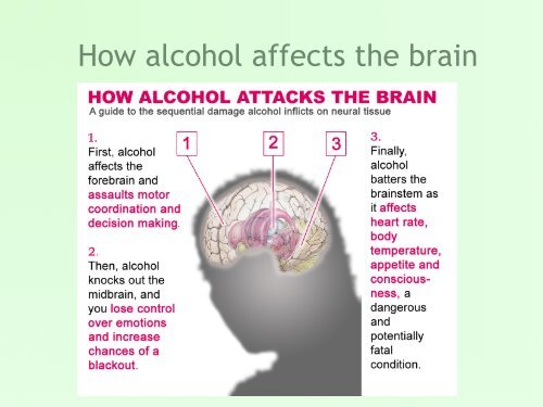 Power Point Slides Alcohol - Meagher Lab