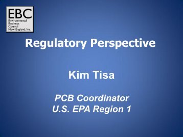 Kim Tisa Regulatory Perspective