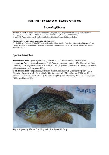 Lepomis gibbosus - NOBANIS