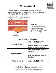 El colesterol