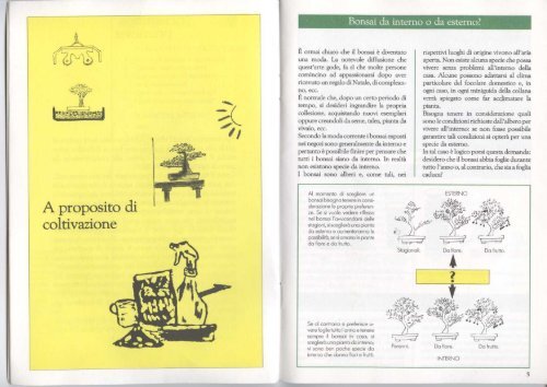 [Ebook-ita] Bonsai - Guida base.pdf - ArenaHome