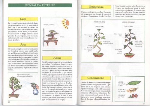 [Ebook-ita] Bonsai - Guida base.pdf - ArenaHome