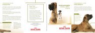 Tanskandoggille - Breed Nutrition - Royal Canin