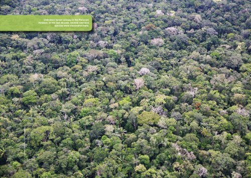 Amazon Alive: A Decade of Discoveries 1999-2009 - WWF