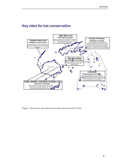 distribution, status, and conservation of bats in the fiji islands