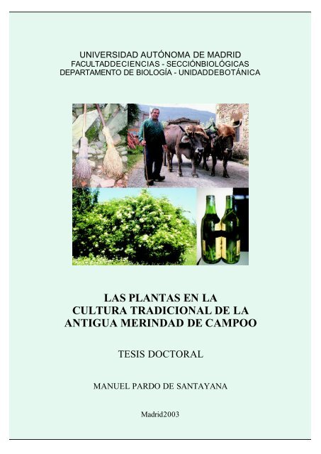 Las Plantas En La Cultura Tradicional De La Antigua Merindad De Campoo