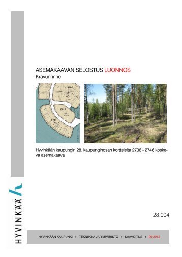 Asemakaavaluonnoksen selostus - Hyvinkaan kaupunki