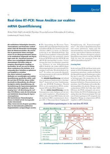 Real-time RT-PCR: Neue Ansätze zur exakten mRNA Quantifizierung