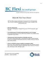 BC Flexi for small groups - Blue Cross