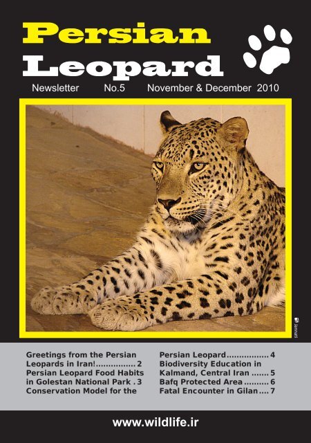 Persian Leopard