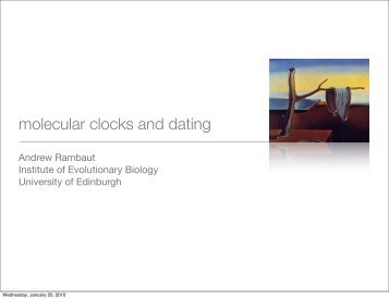 Presentation slides (Molecular Clocks) - Molecular Evolution