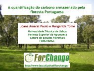 Como se pode medir o sequestro de carbono