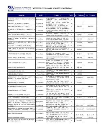 ASESORES EXTERNOS DE SEGUROS REGISTRADOS - CNSF