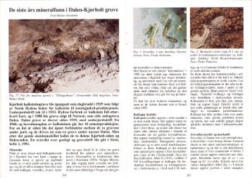De siste Ã¥rs mineralfunn i Dalen-KjÃ¸rholt gruve pdf - NAGS