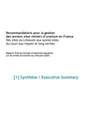 Rapport final GEP Mines - IRSN