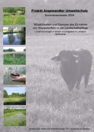 Projekt Angewandter Umweltschutz - Golden Buffalo GmbH