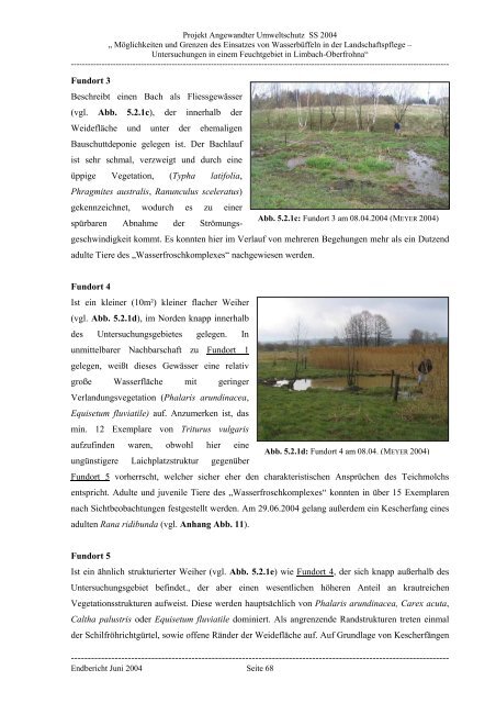 Projekt Angewandter Umweltschutz - Golden Buffalo GmbH