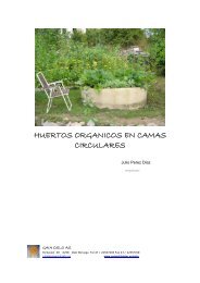 huertos-organicos-en-camas-circulares-final