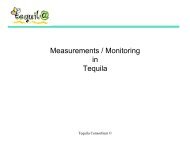 Measurements / Monitoring in Next Generation Networks - ist tequila