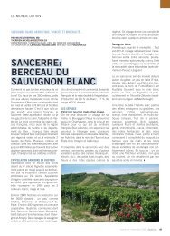 Sancerre: berceau du sauvignon blanc - SantÃ© inc.