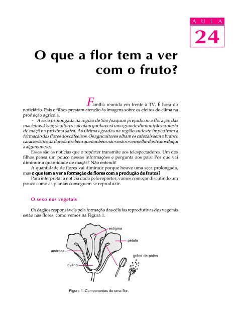 O que a flor tem a ver com o fruto?