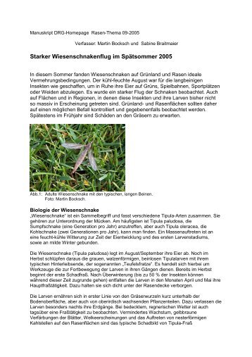 Manuskript DRG-Homepage Rasen-Thema 09-2005 - Deutsche ...