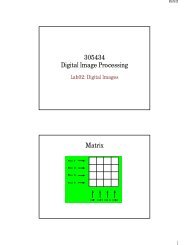 305434 305434 DIGITAL IMAGE PROCESSING Matrix