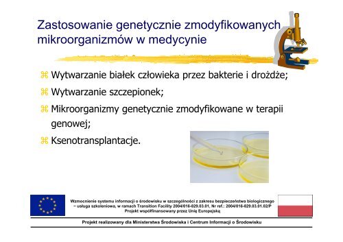 Mikroorganizmy Zmodyfikowane Genetycznie - Centrum Informacji o ...