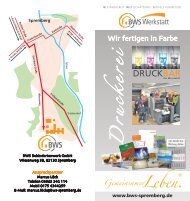 Flyer Druckerei - Behindertenwerk Spremberg