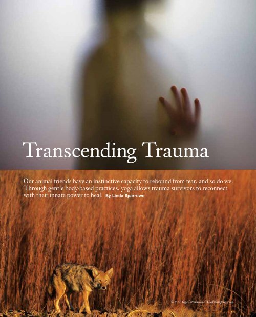 Transcending Trauma - The Trauma Center