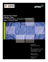 Barreal Seco Project II Region, Chile - CORO Mining Corp.