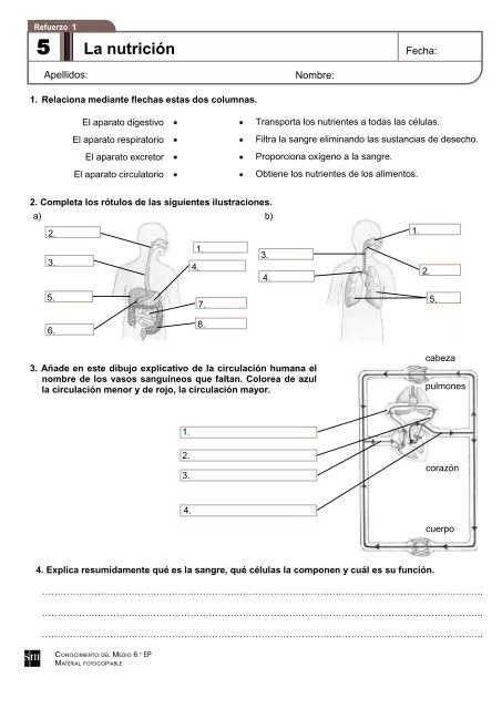 Refuerzo 1 - Colegio Diocesano San Ignacio Ponferrada