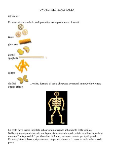 Uno scheletro di pasta - La Teca Didattica