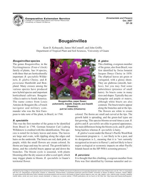 Bougainvillea - College of Tropical Agriculture and Human ...